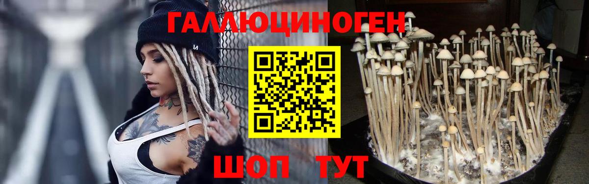 Псилоцибиновые грибы прущие грибы Междуреченск
